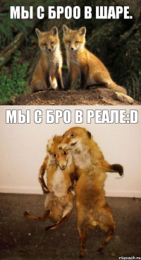 Мы с броо в шаре. Мы с бро в реале:D