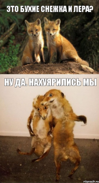 это бухие Снежка и Лера? ну да. нахуярились мы