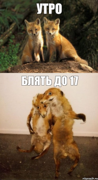 утро блять до 17