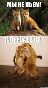 Мы не пьем! Пятница вечер...