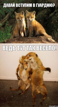 Давай вступим в гуардию? Ведь тут так весело!