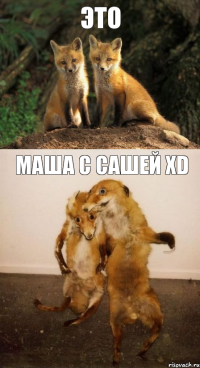 это маша с сашей xd