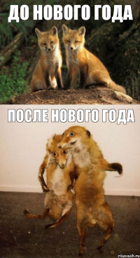 до нового года после нового года