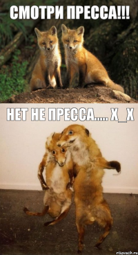 Смотри пресса!!! Нет не пресса..... Х_Х