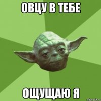 овцу в тебе ощущаю я