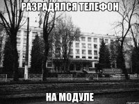 разрадялся телефон на модуле