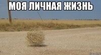 моя личная жизнь 