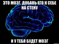 это мозг, добавь его к себе на стену и у тебя будет мозг