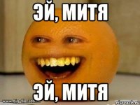 эй, митя эй, митя