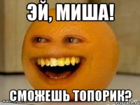 эй, миша! сможешь топорик?