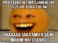 profesorii in timp examenelor. tezelor. sfirsit de an ahaaaaa, iaka amu o sa ne marim noi ceaiviili