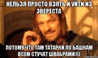 нельзя просто взять и уйти из эвереста потому что там татарки по башкам всем стучат швабрами)))