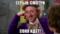 серый, смотри соня идет!