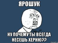 ярошук ну почему ты всегда несешь херню??