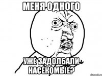 меня одного уже задолбали насекомые?