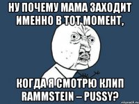 ну почему мама заходит именно в тот момент, когда я смотрю клип rammstein – pussy?