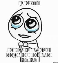 це почуття коли бачиш на дорозі бездомного песика або котика (