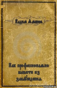 Вадим Яманов Как профессионально вывести из заблуждения