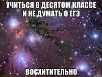 учиться в десятом классе и не думать о егэ восхитительно