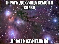 жрать дохуища семок и хлеба просто охуительно