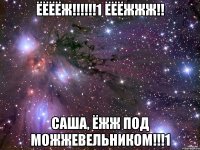 ёёёёж!!!1 ёёёжжж!! саша, ёжж под можжевельником!!!1