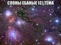 слоны ебаные (с) тёма 