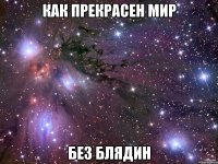 как прекрасен мир без блядин