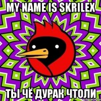 my name is skrilex ты чё дурак чтоли