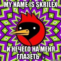 my name is skrilex и нечего на меня глазеть ツ