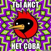 ты аист нет сова