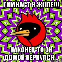 гимнаст в жопе!!! наконец-то он домой вернулся...