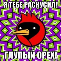 я тебе раскусил! глупый орех!