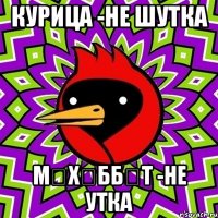 курица -не шутка мөхәббәт -не утка