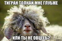 тигран толкай мне глубже или ты не овцееб?