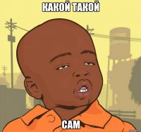 какой такой сам