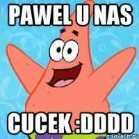 pawel u nas cucek :dddd