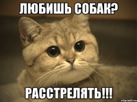 любишь собак? расстрелять!!!