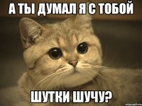 а ты думал я с тобой шутки шучу?