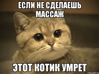 если не сделаешь массаж этот котик умрет