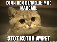 если не сделаешь мне массаж, этот котик умрет