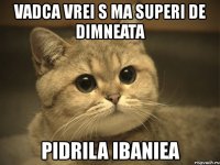 vadca vrei s ma superi de dimneata pidrila ibaniea