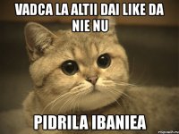 vadca la altii dai like da nie nu pidrila ibaniea