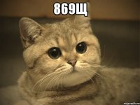 869щ 