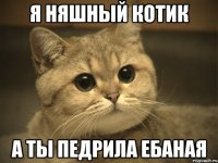 я няшный котик а ты педрила ебаная