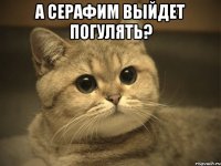 а серафим выйдет погулять? 