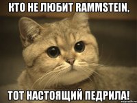 кто не любит rammstein, тот настоящий педрила!