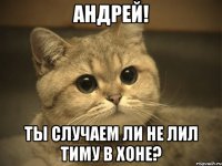 андрей! ты случаем ли не лил тиму в хоне?