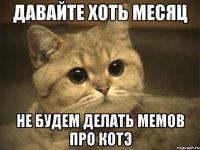 давайте хоть месяц не будем делать мемов про котэ