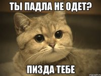 ты падла не одет? пизда тебе