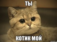 ты котик мой